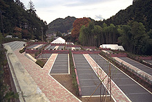 八王子の杜　公園墓地